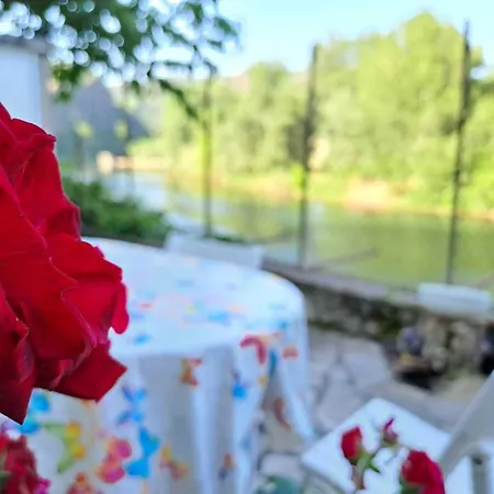 Les Reflets Du Tarn Tatil Evi *